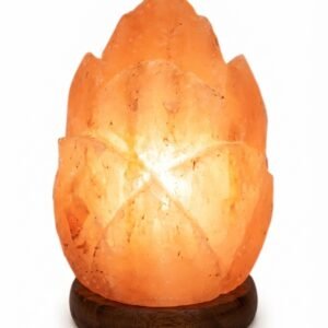 Classic Himalayan Pink Salt Lamp