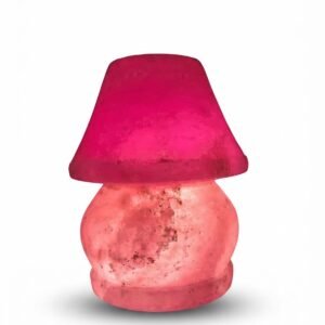 Mushroom Himalayan Salt Lamp