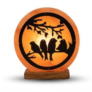 Himalayan Salt Round Animal Design Lamp