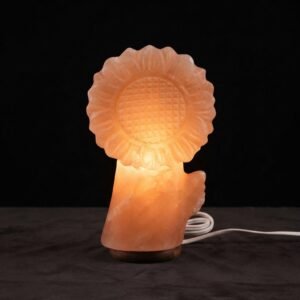 Pink Salt Natural Night Lamp