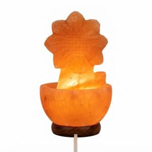Flower Pot Salt Lamp